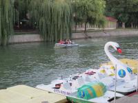Imagine atasata: New_IMG_1107.jpg